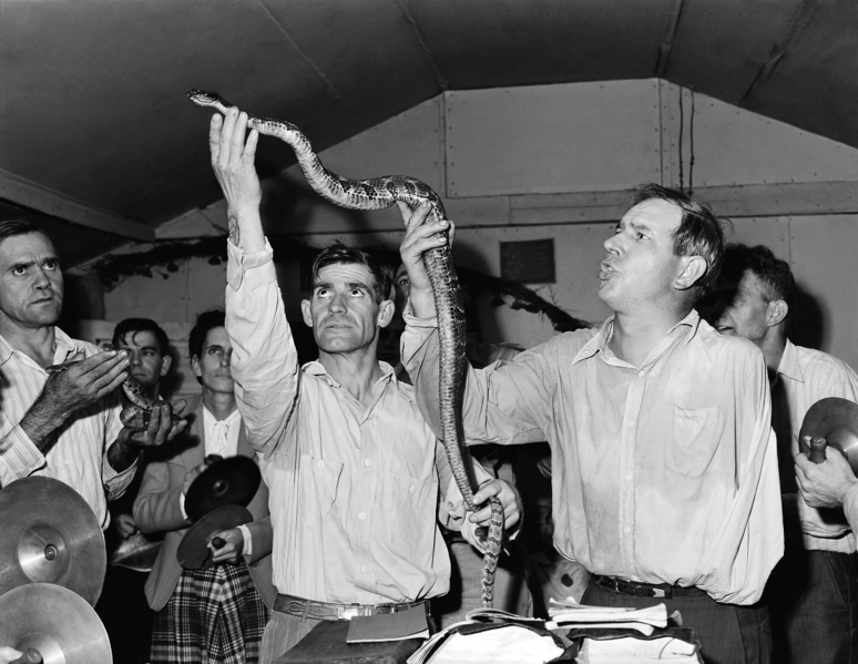 snake-handling-file-photo
